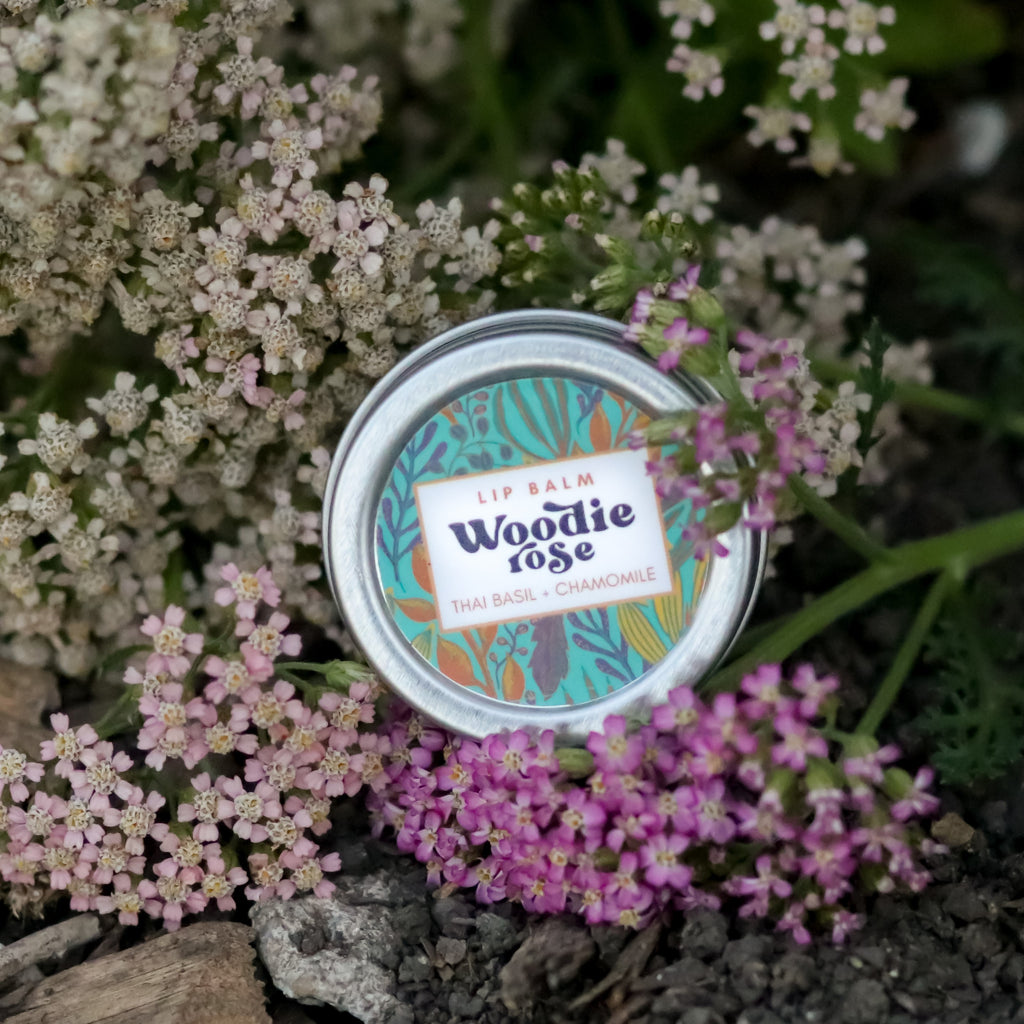 Thai Basil Chamomile Lip Balm Woodie Rose